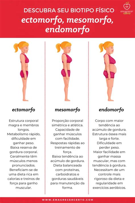 Biótipos Corporais Ectomorfo Mesomorfo E Endomorfo Explicados