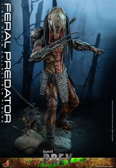 Feral Predator Sixth Scale Figure By Hot Toys Sideshow Collectibles