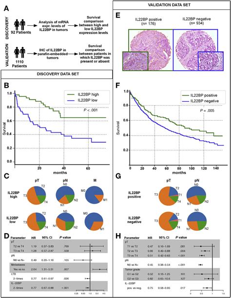 High IL22BP Levels Are Associated With A Favorable Outcome In Patients