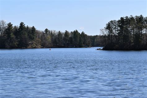 Southwicks South Middle Ponds To Receive Treatment June 1 The