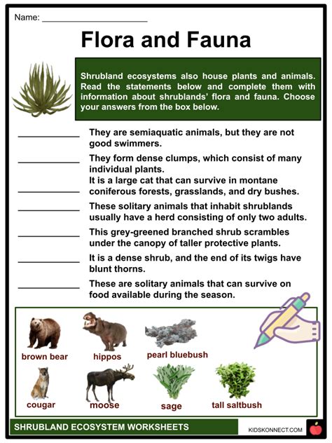 Grassland Ecosystem Animals