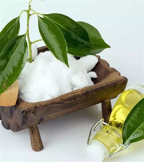 10 Unexpected Side Effects Of Camphor Camphor Essential Oil Health