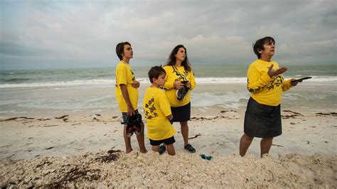 Sea turtle nesting season: Boaters, public can help protect rebounding
