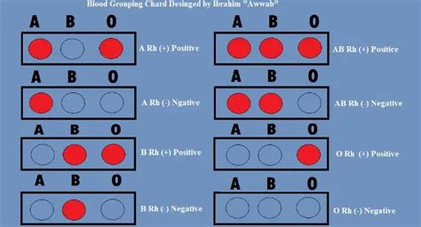 Difference Between O Positive And O Negative - Relationship Between