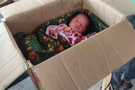 Dibungkus Kain Panjang Dan Dimasukkan Kardus Bayi Perempuan Di