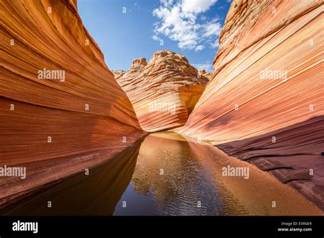 The Wave Arizona Amazing Flowing Rock Formation In The Rocky Desert