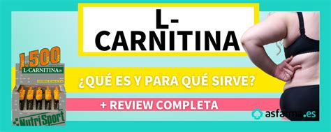 L carnitina qué es y para qué sirve