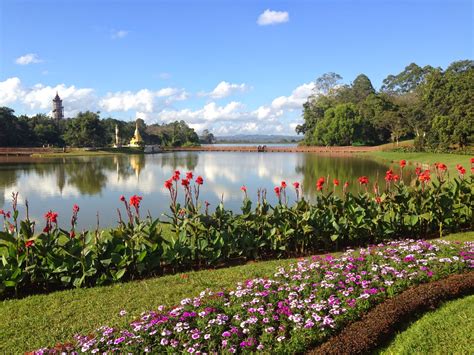 Natural History Museum of L.A. Minblog: Myanmar part 4 - Mandalay (1 ...