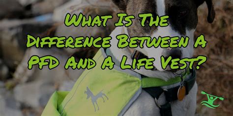 Life Jacket vs. PFD - What's the Difference? | KayaKudos.com