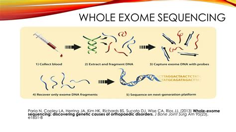 Ppt Genetics 101 And Whole Genome Sequencing Powerpoint Presentation Id8815155