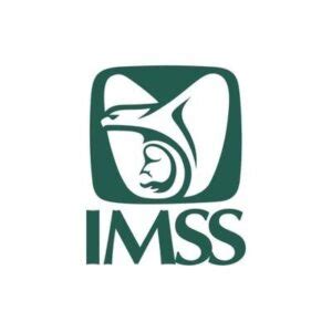 BIOMÉTRICO IMSS CHECADAS Entradas y Salidas 2022