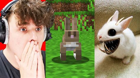 Nawiedzone Moby Z Minecraft Spotkane W Prawdziwym Yciu Youtube