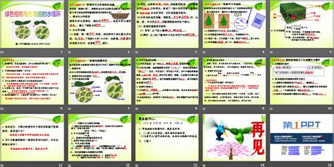 《绿色植物与生物圈的水循环》ppt课件3 第一ppt