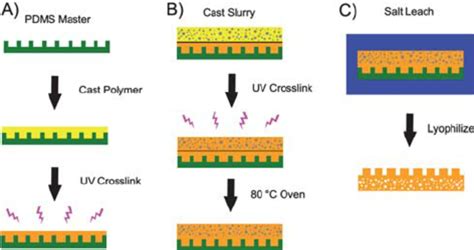 A A Schematic Representation Of The Microchannel Fabrication Process