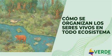 Ecosistema De La Región Andina Colombia Verde