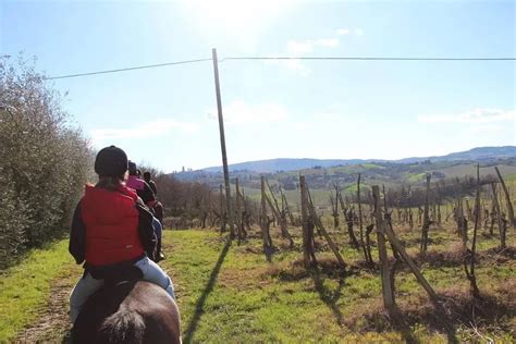 Le Migliori Esperienze Da Regalare In Toscana Holidoit