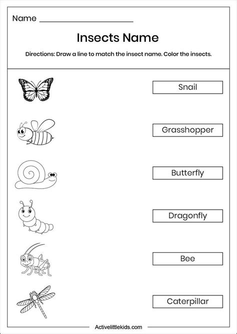 Insect name matching worksheet | Rhyming poems for kids, Worksheets ...