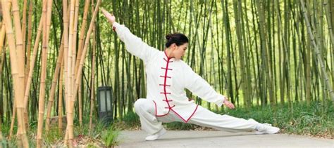 Clases De Tai Chi Para Principiantes On Line En Linea