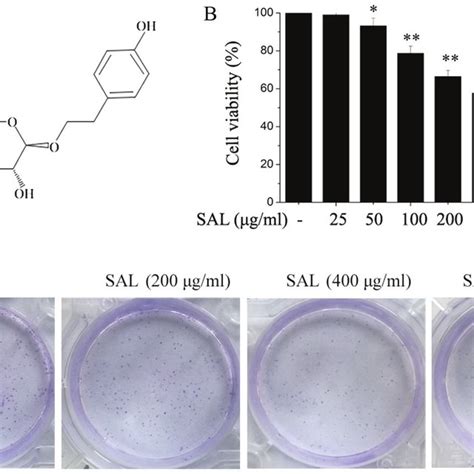 Salidroside Inhibits The Viability And Colony Formation Of Bgc 823 Download Scientific Diagram