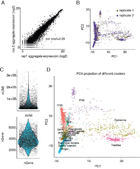 Figure S1 Scrna Seq Experiments Provide Reproducible And High Quality