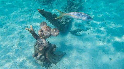 Castaway Cay Panduan Pulau Pribadi Disney Cruise Line Itinku