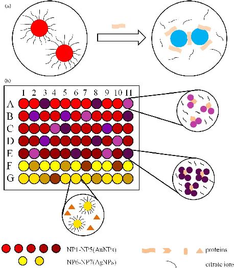 Figure 1 From Colorimetric Sensor Array With Unmodified Noble Metal