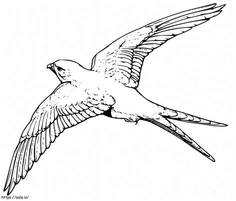 Printable Kite Bird Coloring Page