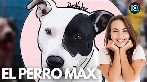 El Perro Max Sacrificar N Al Perro Que Atac Al Ladr N Que Entr A