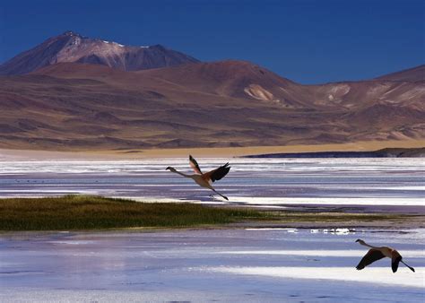 Best Time to Visit Chile | Climate Guide | Audley Travel UK