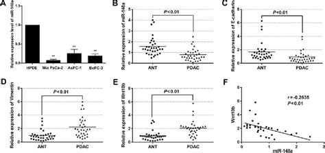 Figure 1 From Microrna 148a Suppresses Epithelial Mesenchymal