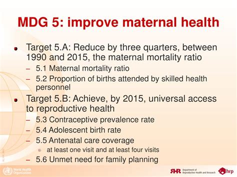 Ppt Mdg 5 Indicators Concepts And Methodologies Powerpoint