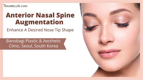 Anterior Nasal Spine Augmentation Enhance A Desired Nose Tip Shape