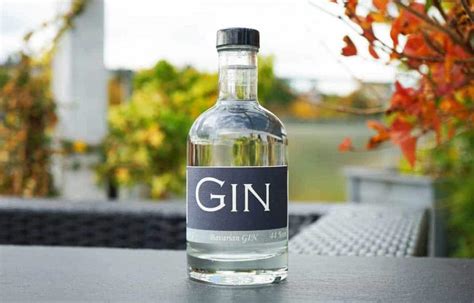 Testbericht Bavarian Gin Ginnatic Deutschlands Gr Ter Gin Blog