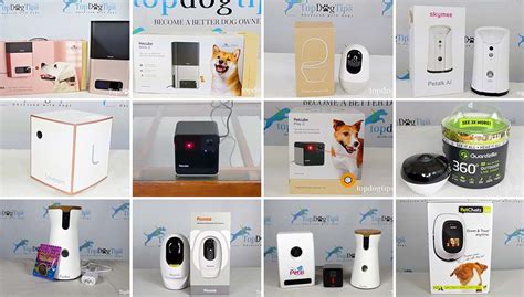 10 Best Dog Cameras Large Pet Camera Test And Comparison