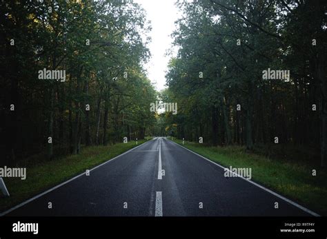 Road In The Woods Stock Photo Alamy