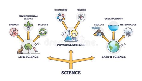 Life, Physical and Earth Science Branches Division Network Outline ...