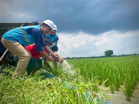 Electrifying Agriculture Pln Bikin Biaya Operasional Petani Di