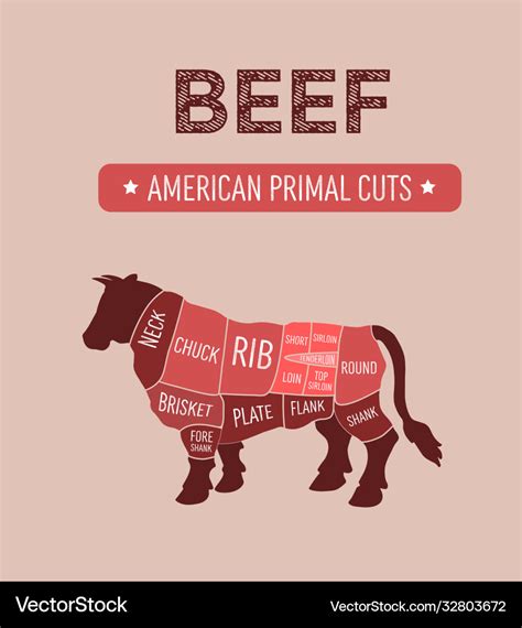 American primal beef meat cuts diagram Royalty Free Vector