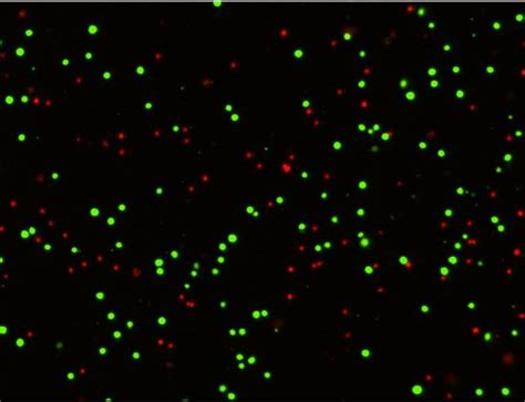 Cell counting: A practical guide to evaluating cell counting methods | Nexcelom Bioscience