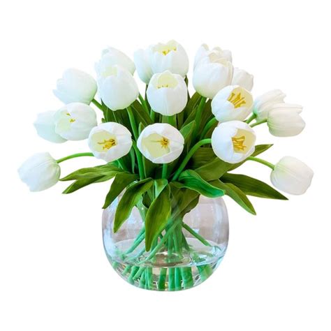 Primrue Tulip In Vase And Reviews Wayfair