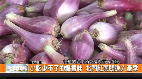 小吃少不了的爆香味 北門紅蔥頭進入產季 新永安新聞 Youtube