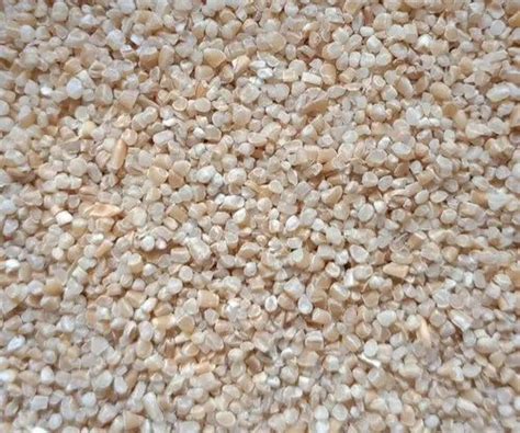 Off White Loose Wheat Dalia High In Protein At Rs 40 Kg In Hanumangarh