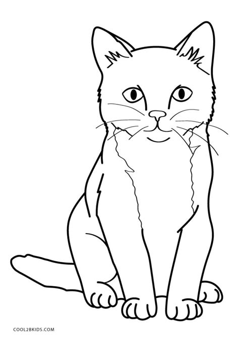 Coloriage D Un Chaton The Best Porn Website