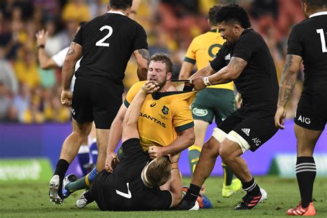 Wallabies All Blacks Bledisloe Cup Fixtures Draw In All