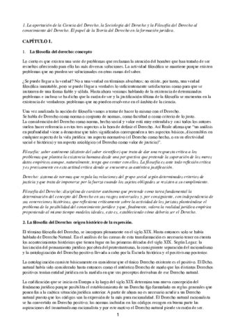 Teoría del Derecho pdf