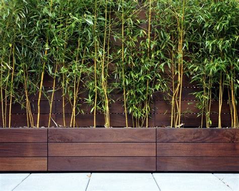 70 bamboo garden design ideas – how to create a picturesque landscape