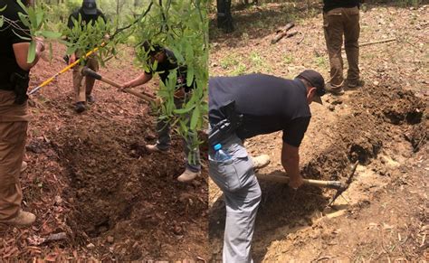 Concluyen Trabajos Forenses En La Fosa Donde Se Localiz A Una De Las