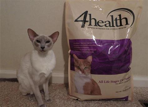 What to Look for 4health Cat Food Ingredients - Petsepark.com