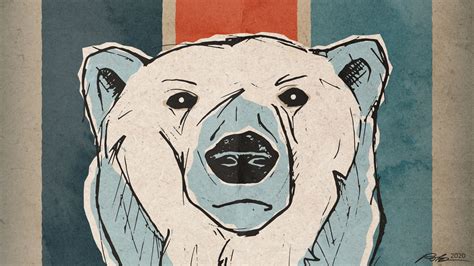 Polar Bear Illustration - Rob Knapp Design