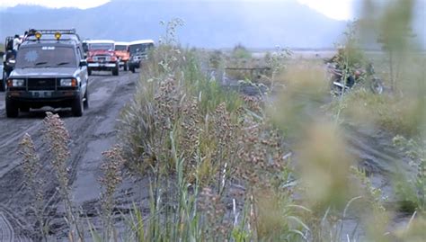 Seruni Point Gunung Bromo Jadi Pilot Project Wisata Dengan Prokes Ketat